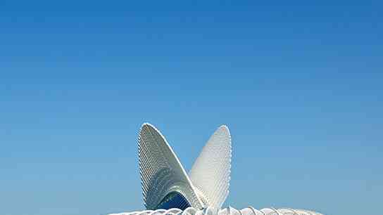 Santiago Calatrava’s Striking Building at Florida Polytechnic University