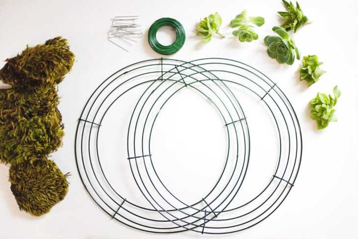 How To Make a Succulent Wreath